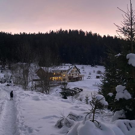 Le Perchoir, Gite 7 Personnes, Le Grand Valtin Ban-sur-Meurthe-Clefcy Eksteriør billede
